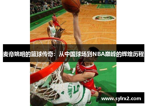 麦帝姚明的篮球传奇：从中国球场到NBA巅峰的辉煌历程