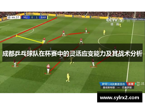 成都乒乓球队在杯赛中的灵活应变能力及其战术分析