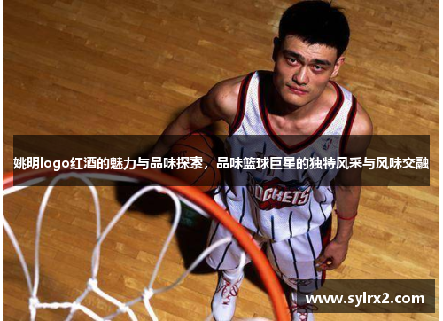 姚明logo红酒的魅力与品味探索，品味篮球巨星的独特风采与风味交融