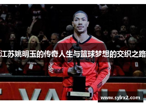 江苏姚明玉的传奇人生与篮球梦想的交织之路